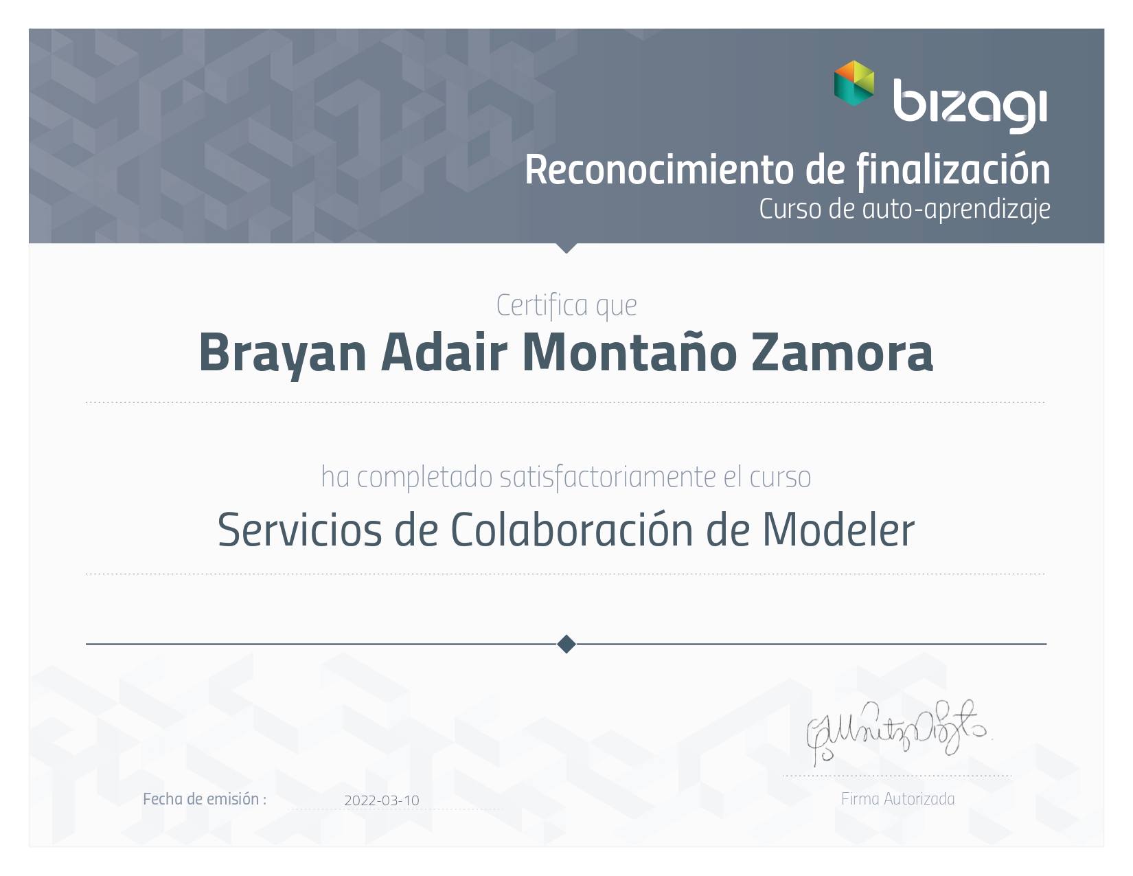 servicios de colaboracion de modeler bizagi